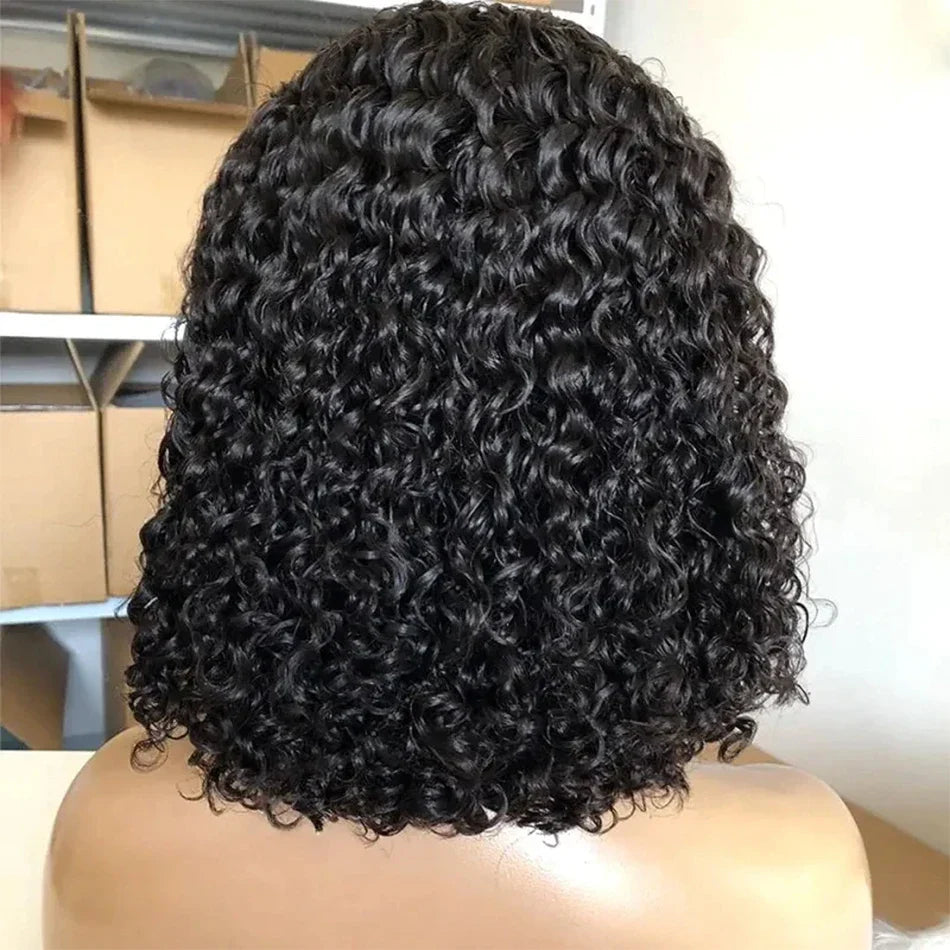 Kinky Curly Lace Wig